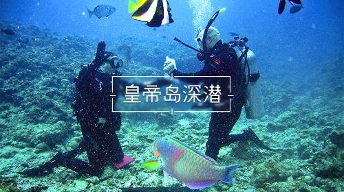 智问答网页-半糖下载二维码-优质机智问答平台