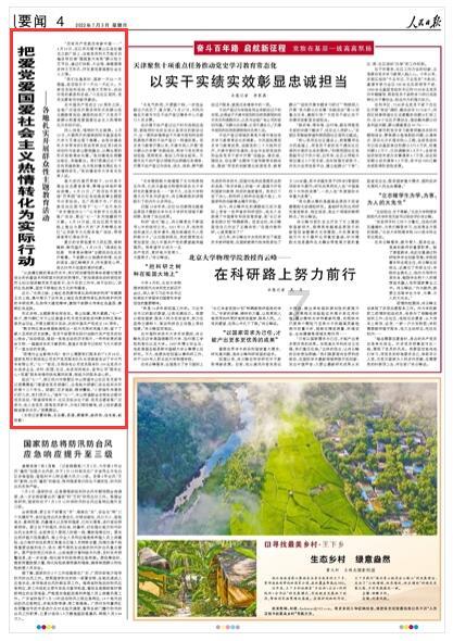 救援大嘴鸟