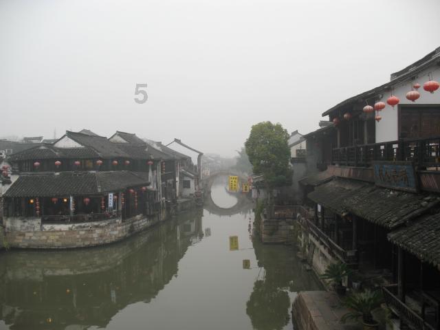 老虎和狼哪个比较凶残游戏画面